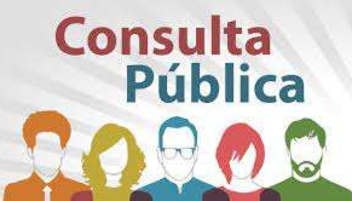 29 - ConsultaPublica_3